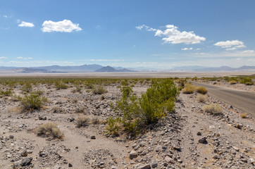 desert around Soda Dry Lake in Mojave National Preserve San Bernardino County, California