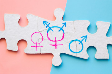 gender symbols on the puzzle concept sexual equality