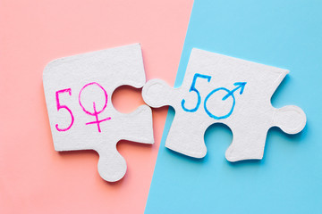 gender symbols on the puzzle concept bisexuality