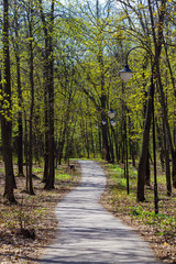 park in city during sunny day with trees, bench, road path, lamp lanterns