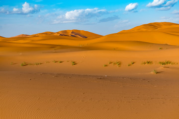 Beautiful landscape view of dunes Erg Chebbi, Sahara Desert, Merzouga, Morocco in Africa