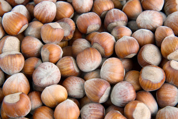 Hazelnuts on a market