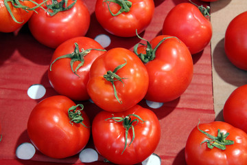 red tomato harvest. many tomatoes