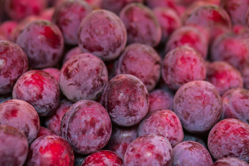 Pile of red - purple plums background.