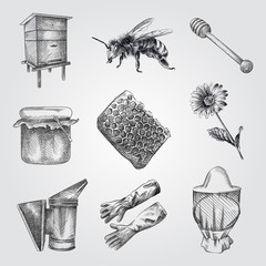 Hand Drawn Apiary Sketches Set. Collection Of honey, Honey dipper, bee smoker, flower, Beekeeper hat, Wooden hive. Honey and Beekeeping Sketches isolated on white background.