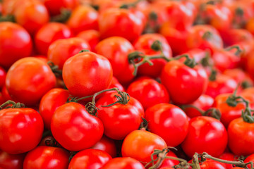 Pile of tomatoes background.