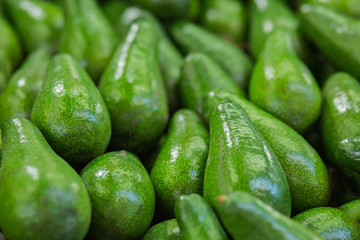 Pile of avocados background.