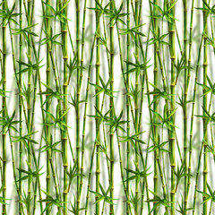 Bamboo watercolor stems and leaves seamless pattern on white background