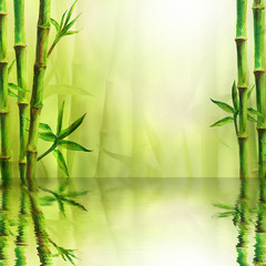 Fototapeta na wymiar Bamboo forest with reflection in water spa background. Watercolor illustration with space for text