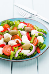Vegetable salad with cheese mozzarella, tomatoes, basilikum and spice.