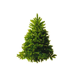 Artificial spruce. Christmas tree without ornaments isolated on a white background