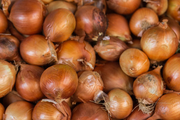 Pile of onions background.