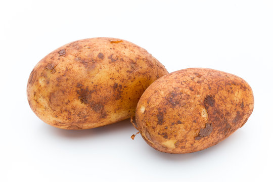 A bio russet potato isolated white background.