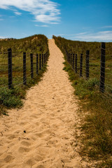 Naklejka premium Sandy Path