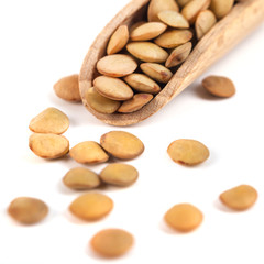 dry lentils on wooden spoon isolated on a white background