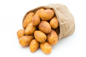 A bio russet potato isolated white background.