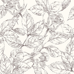 Sketch roses pattern