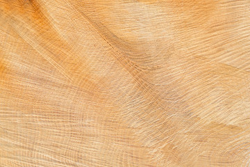 Natural wooden texture. Wood texture with natural pattern
