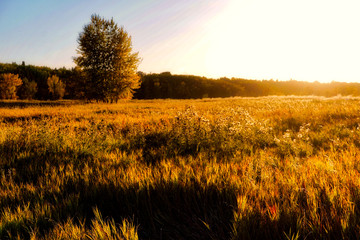 sunset on autumn landscape with field