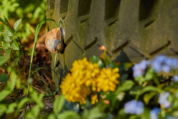 Tyres in garden with snile