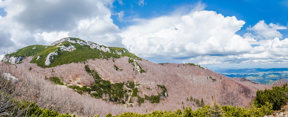 The Summit of Sneznik - Endless woods, beautiful meadows, on the South-West part open grassy slopes...
