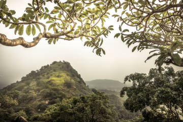 Highlands hill forest landscape with view from the trees in Asia Sri Lanka Dambulla surroundings