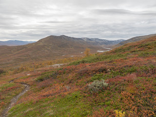 Autumn landscape in mountain. Abisko national park in Sweden.