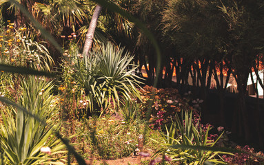 Botanischer Garten Monte Palace auf Madeira