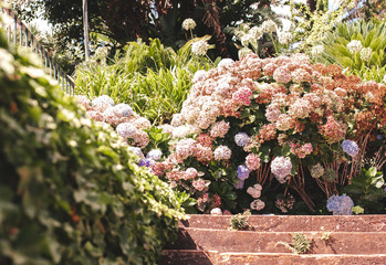Botanischer Garten Monte Palace auf Madeira