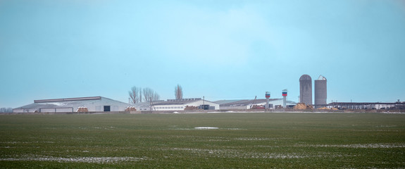 Field sown with winter wheat under the snow. Large cattle breeding complex for production of meat...