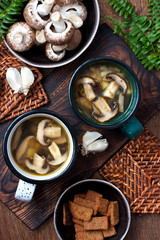 Tasty mushroom soup in ceramic  bowl