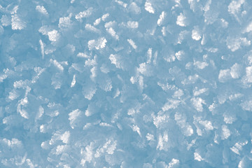 Macro look of snow crystals, snowflakes. Winter background