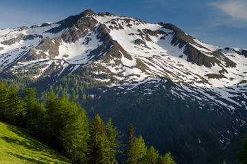 mountains in spring