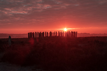 sunrise in national park regte heide - at an ancient grave