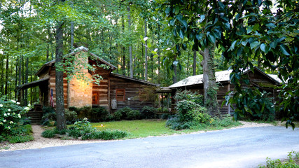 log cabin home in the forest