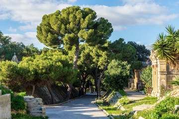 The Santa Maria Addolorata Cemetery in Paola, Malta is known as the Addolorata Cemetery, it opened...