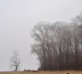Countryside rural farmland
