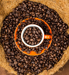Brown roasted coffee beans, seed on dark background. Espresso dark, aroma, black caffeine drink. Closeup isolated energy mocha, cappuccino ingredient.