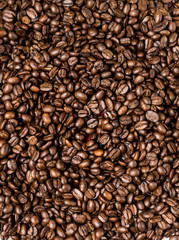 Brown roasted coffee beans, seed on dark background. Espresso dark, aroma, black caffeine drink. Closeup isolated energy mocha, cappuccino ingredient.