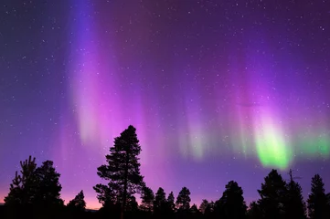 Deurstickers Noorderlicht Aurora Borealis, Noorderlicht, boven boreale bossen.
