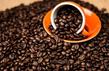 Brown roasted coffee beans, seed on dark background. Espresso dark, aroma, black caffeine drink. Closeup isolated energy mocha, cappuccino ingredient.