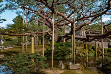 Landscape around Kenrokuen garden one of the most beautiful landscape gardens in Japan, Locate in Kanazawa city