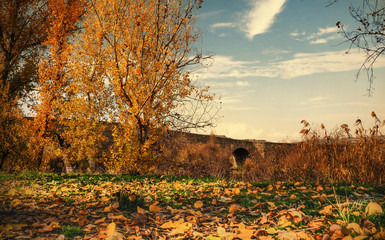 diyarbakir autumn views from the turkey. View of the historic 