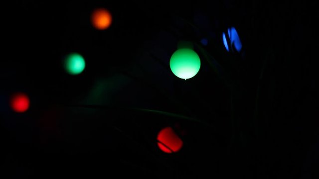 Illuminated New Year garland on pine-tree. Closeup