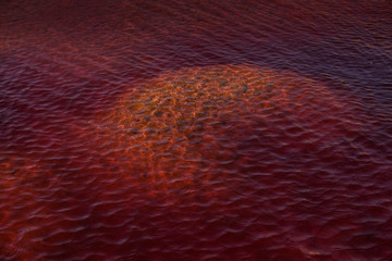 Polluted red lake