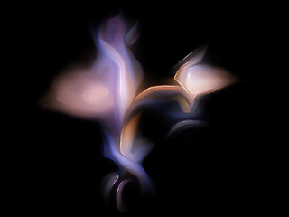 Fractal flame on a black background