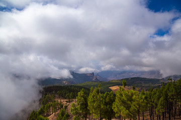 Fog approaching on Gran Canarias second highest peak: Pico de las Nieves