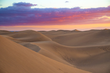 Fototapeta na wymiar Lonely dusk scenery at famous dunes in Maspalomas, Gran Canaria, Spain