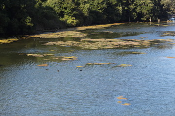 parque natural marismas de santoña,Victoria y joyel,en Soano,cantabria españa
