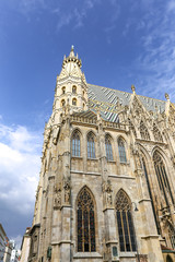 Fototapeta premium St Stephens Cathedral in Vienna, Austria
